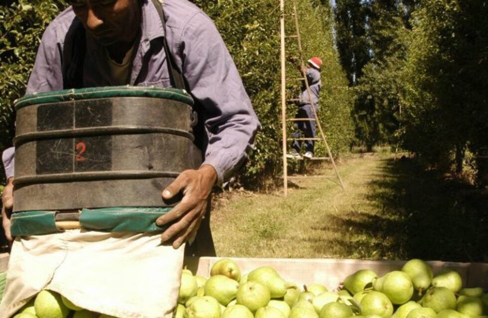 Kerchner quiere entregar crédito a tasa cero a siete años a productores frutícolas