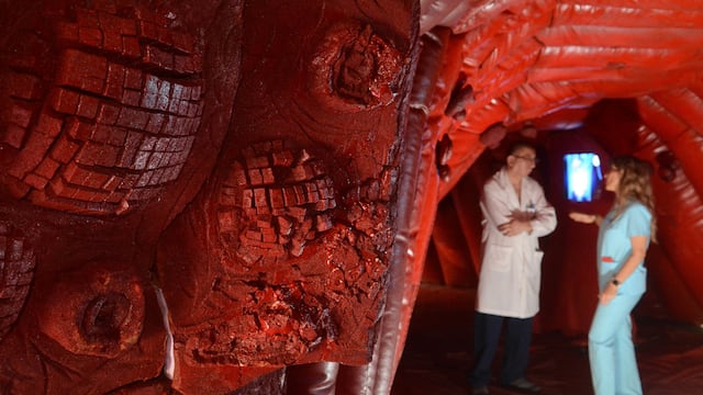 El estilo de vida y el ambiente causan 75% de los casos de cáncer de colon