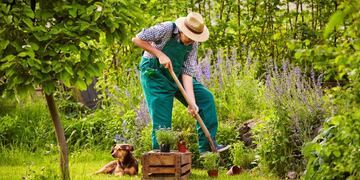 Aprovechemos estos días para quitar las malezas de los canteros y aflojar la tierra que hay en ellos, de manera que quede blanda y mullida\u002E (Archivo Rumbos)