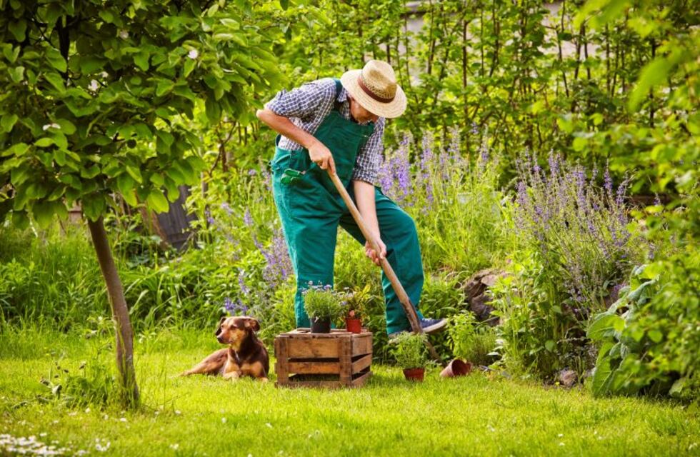 Cuenta regresiva: dejemos divino el jardín para Navidad