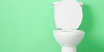 Día mundial de inodoro (Web)