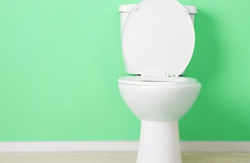 19 de noviembre: ¿por qué se celebra el día internacional del inodoro?