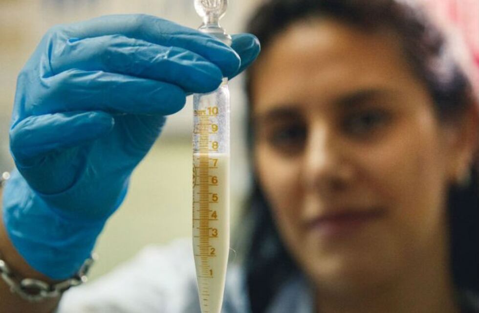 Lactancia materna: destacan la calidad de la leche de las cordobesas