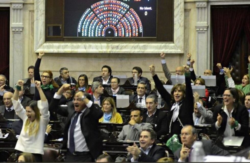 Legalizacíon del aborto: el voto de los diputados y de los bloques