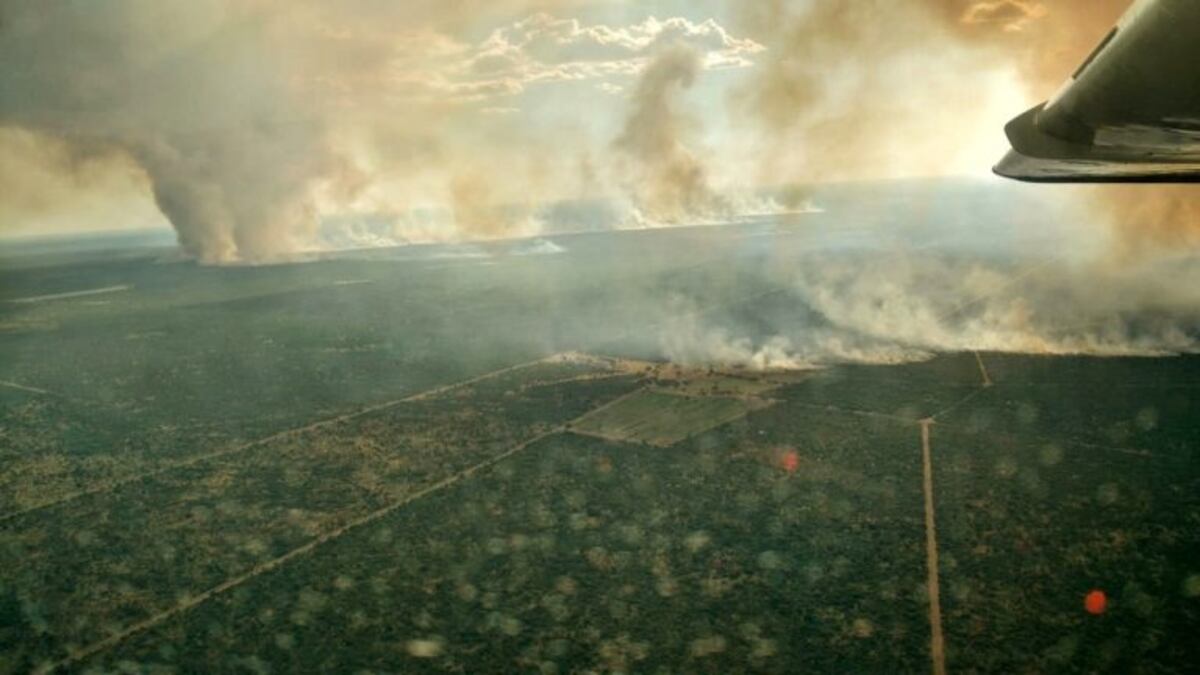 Incendios en La Pampa (Gobierno de La Pampa)