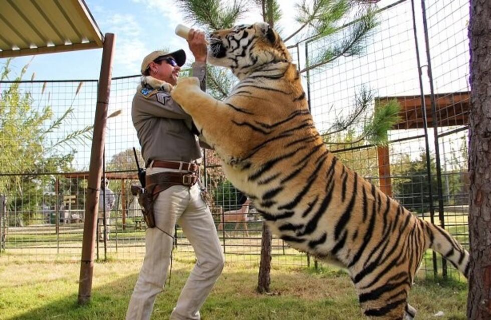 "Tiger King", la serie que arrasa en Netflix y ya ven los argentinos