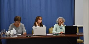 Se presentó el Programa de Producción Pública y Distribución Gratuita de Opioides