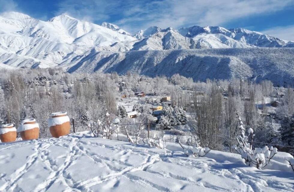 La belleza de la nieve: así amaneció Mendoza
