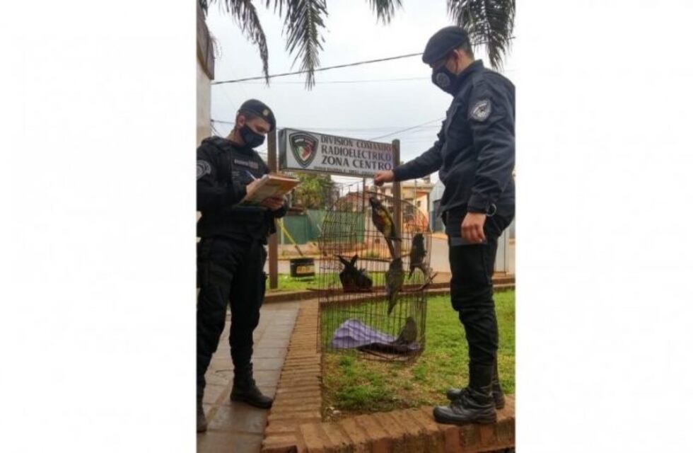 Demoran a cinco menores por el robo de aves del Jardín de los Pájaros