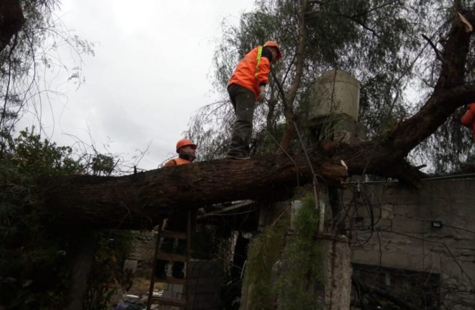 Fuertes vientos causaron daños en algunos sectores de Catamarca