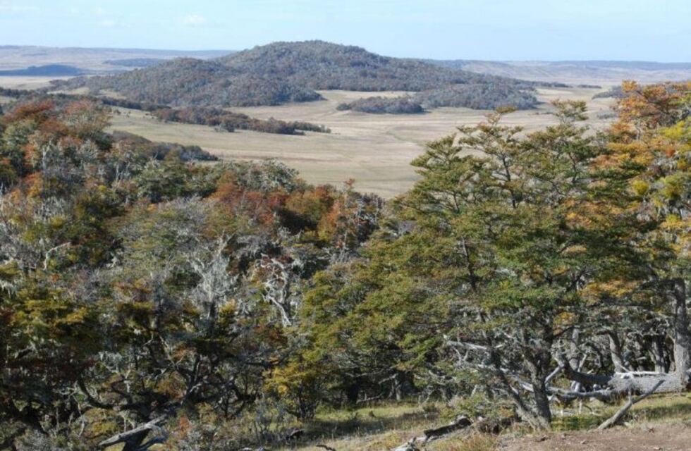 Buscan fomentar el desarrollo del turismo de naturaleza y turismo sustentable en Ushuaia