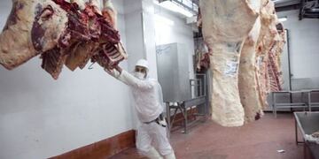 Mattievich amenaza con cerrar tras el reparto de la Cuota Hilton\u002E (Web)