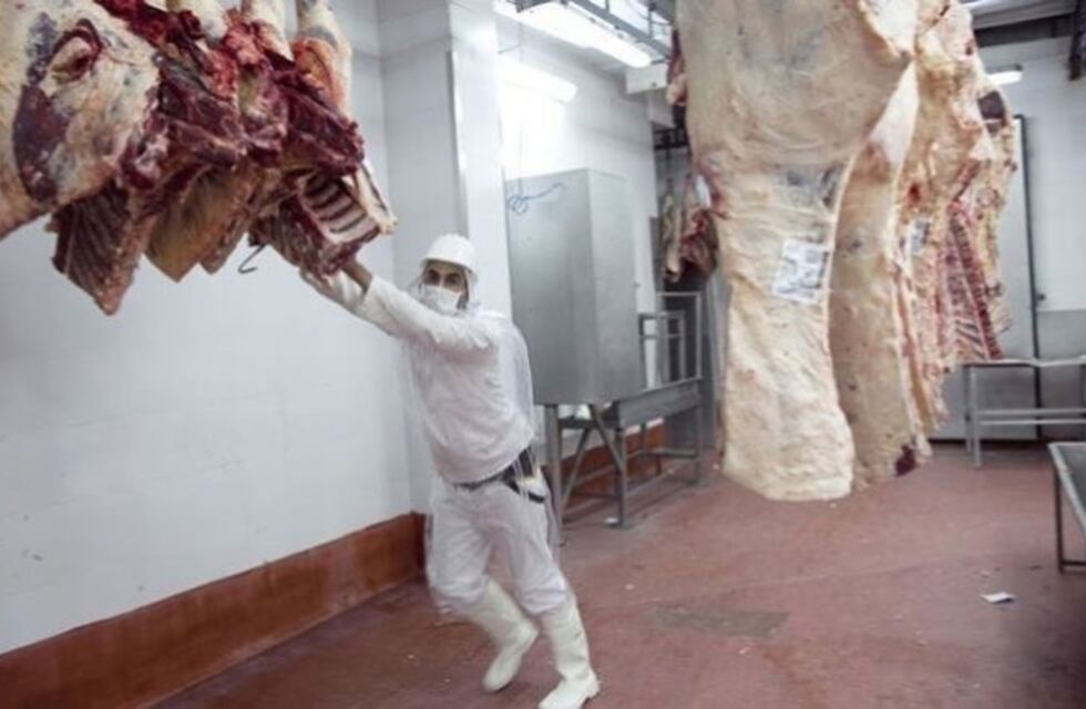 A un año de la reapertura, podría cerrar la planta de Mattievich en Carcarañá