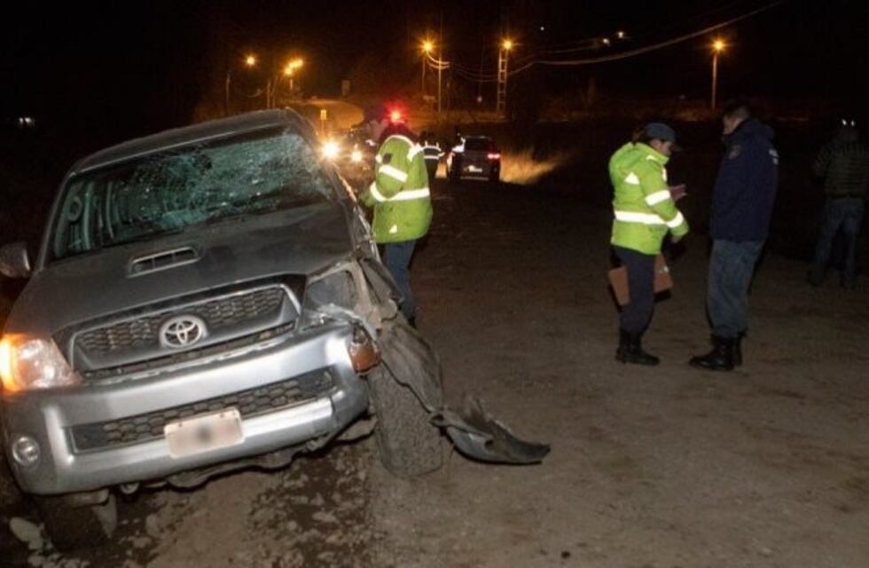Preocupa el aumento de siniestros viales por caballos sueltos