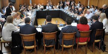 Fabián Puratich, en la reunión del Consejo Federal de Salud\u002E