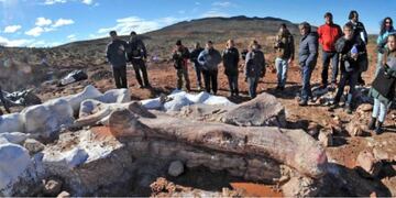 Es falso lo que se afirma en el video donde se asocian restos de un dinosaurio argentino con CFK