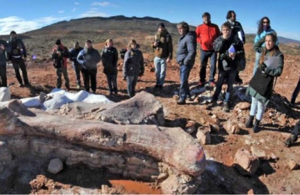 Es falso lo que se afirma en el video donde se asocian restos de un dinosaurio argentino con CFK