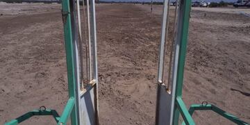 Secuestraron 6 perros galgos pero fueron entregados a sus dueños\u002E