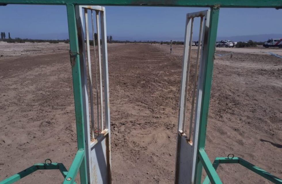 Organizaron una carrera de galgos en Sarmiento: las apuestas llegaban a los $2.000