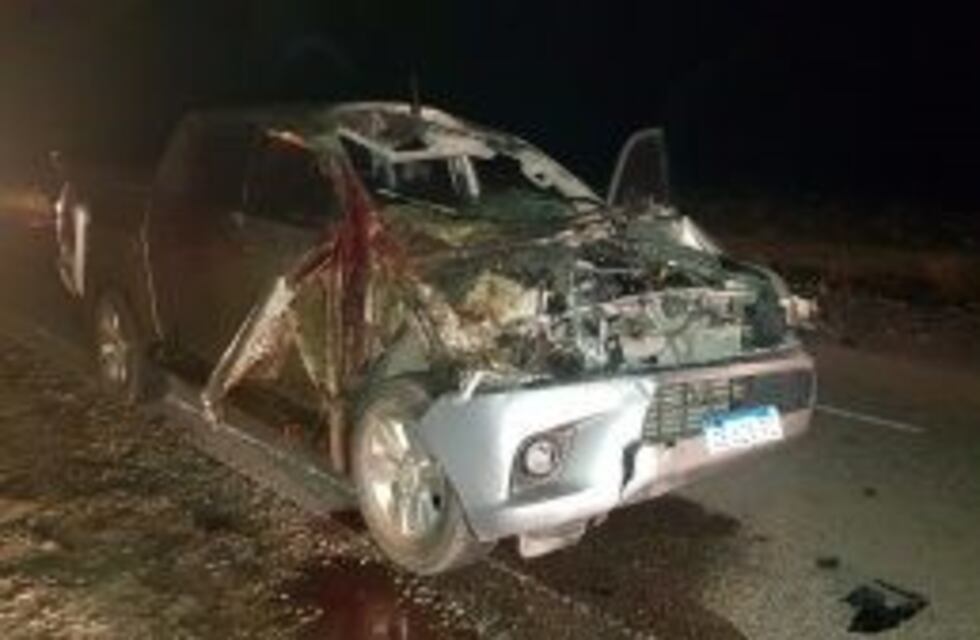 Las Heras: conductor en grave estado tras chocar con un caballo