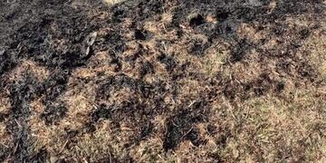 Incendios - Foto: Bomberos Voluntarios