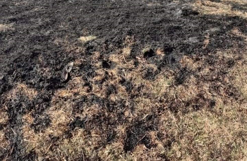 Bomberos de San Francisco combatieron un incendio en un campo de la ciudad