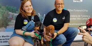 Encuentro Internacional de Perros Salchichas en Carlos Paz\u002E
