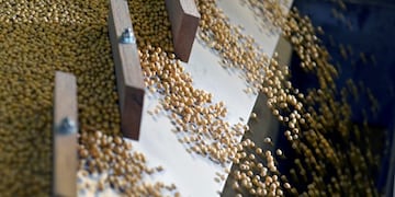 FILE PHOTO: Soybeans being sorted according to their weight and density on a gravity sorter machine at Peterson Farms Seed facility in Fargo, North Dakota, U\u002ES\u002E, December 6, 2017\u002E  REUTERS/Dan Koeck/File Photo