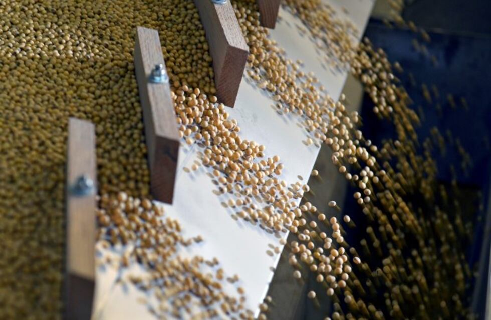La sequía recortó la perspectiva de producción de soja en 3,5 millones de toneladas