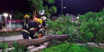 Destrozos del viento en Río Cuarto con la llegada de la tormenta\u002E (Gentileza Puntal\u002Ecom)