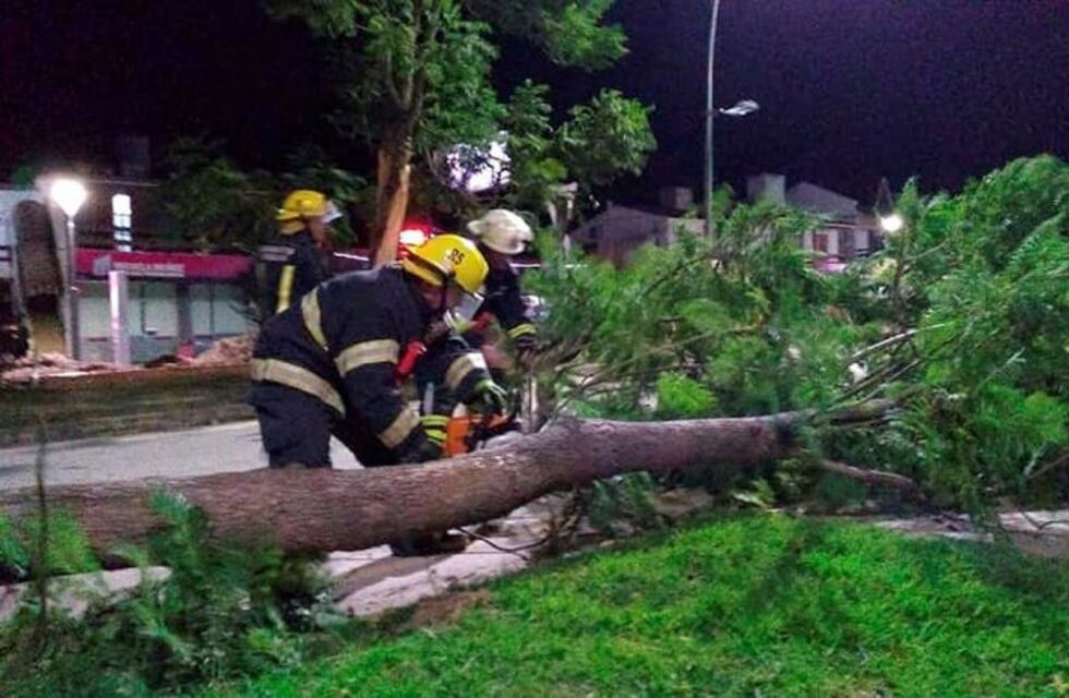 Sigue vigente el alerta por fuertes vientos para el sur de Córdoba: hubo postes y árboles caídos