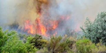 Incendio en zonas cercanas a la localidad de Coronel Belisle en la provincia de Ru00edo Negro, Argentina, el 08/01/2017. Los incendios registrados desde comienzos de enero ya han afectado mu00e1s de un millu00f3n de hectu00e1reas de las provincias de Buenos Aires, La Pampa y Ru00edo Negro. foto: Luna Maximiliano/telam/dpa rio negro incendios forestales en rio negro incendios forestales