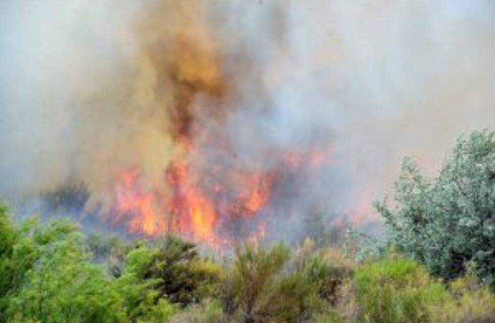 Permanece activo un foco de incendio en La Pampa, donde son más de un millón las hectáreas quemadas