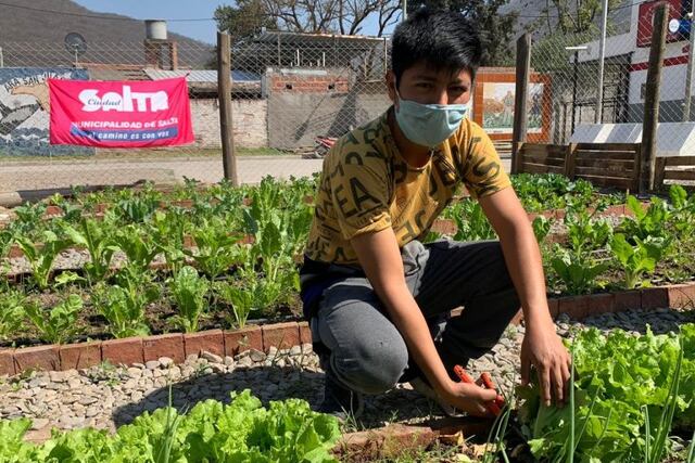 La huerta comunitaria del CIC de Constitución vio su primera cosecha (Municipalidad de Salta) Imagen ilustrativa