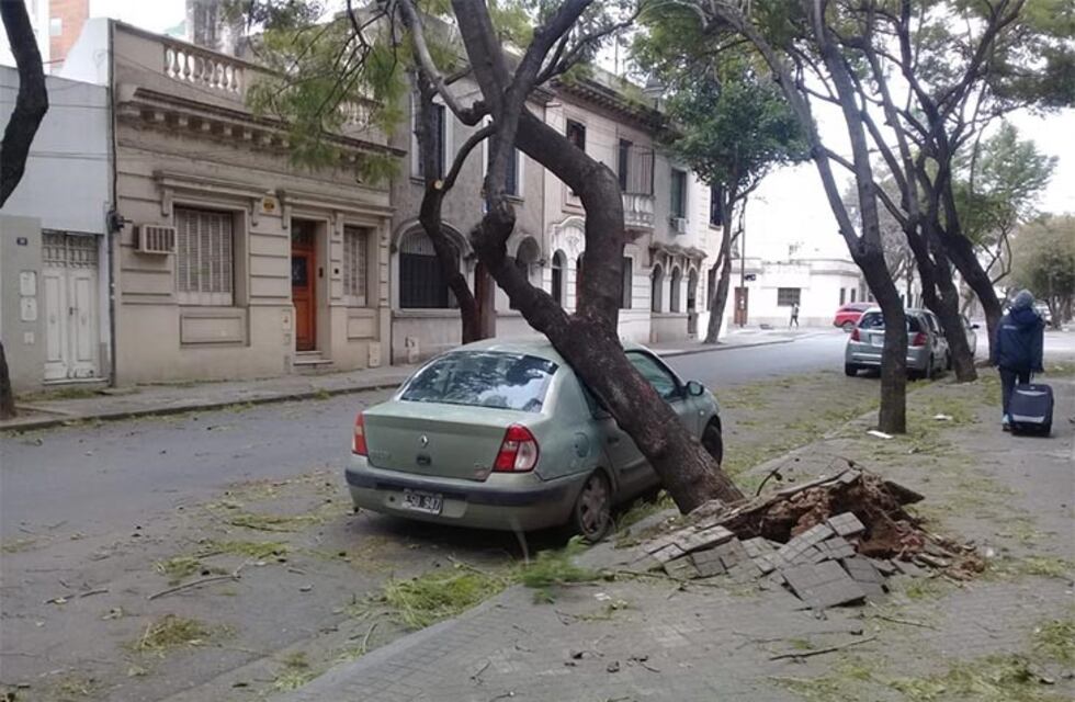 Más de 100 árboles caídos y 50 voladuras de objetos contundentes por el fuerte viento en Rosario