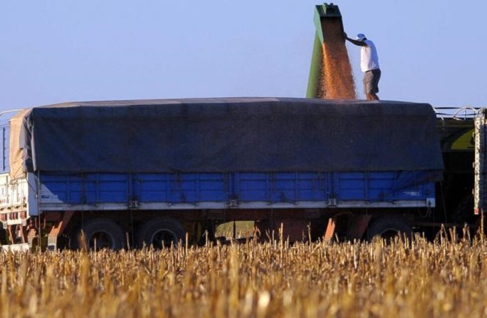Un camión cargado de maíz, volcó en la Ruta 8