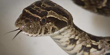 La madre grabó el encuentro para la posteridad, pero las cosas no resultaron como lo pensaron.