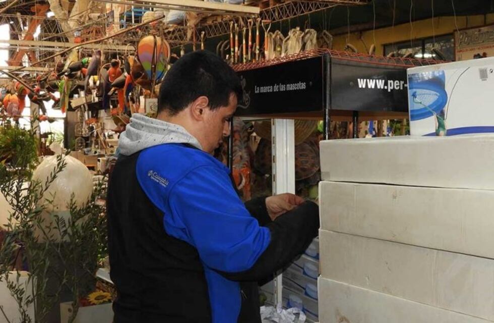 Incluyeron jóvenes con capacidades diferentes a Programa de Entrenamiento Laboral