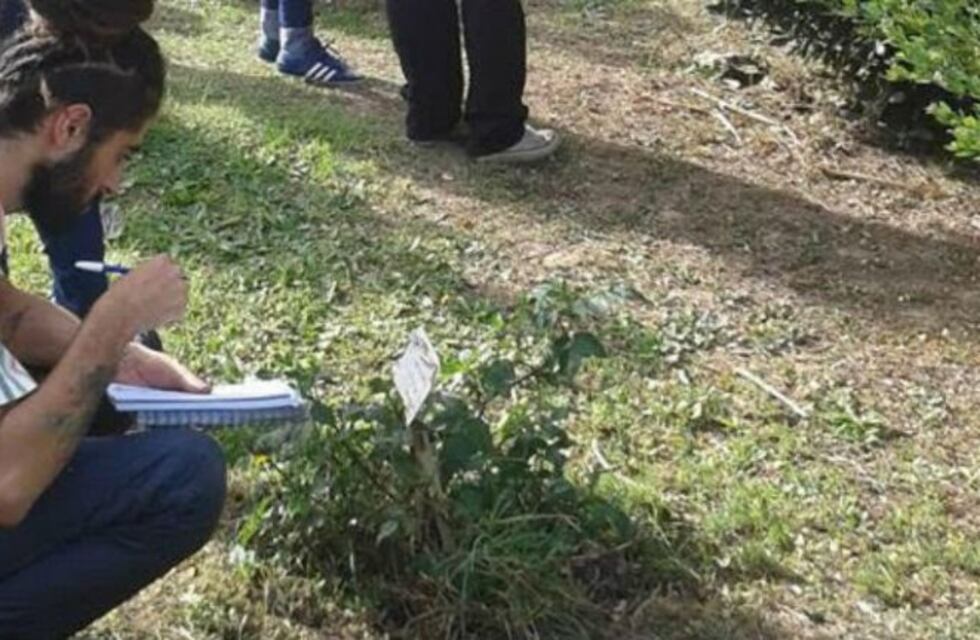 Huertas Urbanas: dónde se dictan los talleres