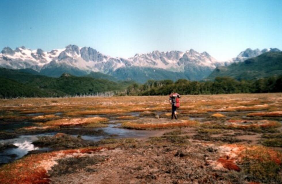 Tierra del Fuego comenzará a producir y exportar fertilizantes derivados de la turba