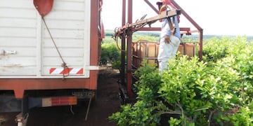 Desde Ecología de Misiones prohibieron el ingreso de desechos avícolas a la provincia y su utilización como fertilizante sin tratamiento previo\u002E