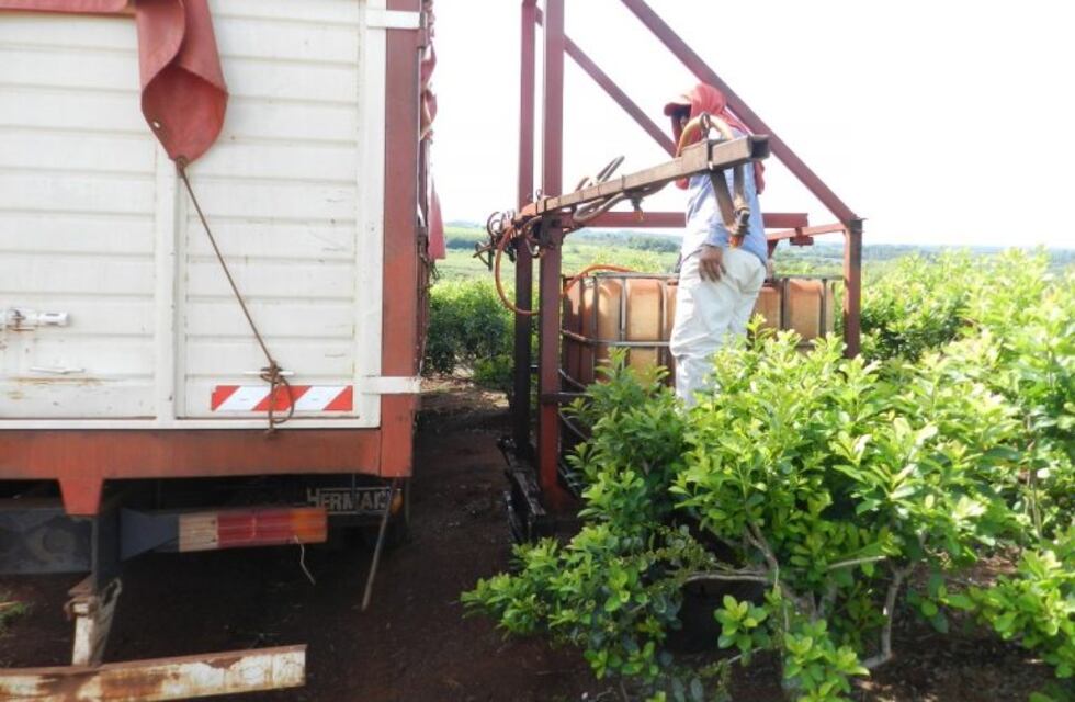 Ecología prohíbe el ingreso de desechos avícolas a Misiones