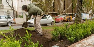 Remodelación arbolado y vegetación de boulevard Oroño (Flickr: Manolo74)