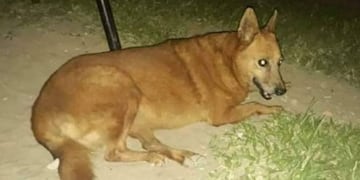 El principal sospechoso fue detenido el jueves por la noche.