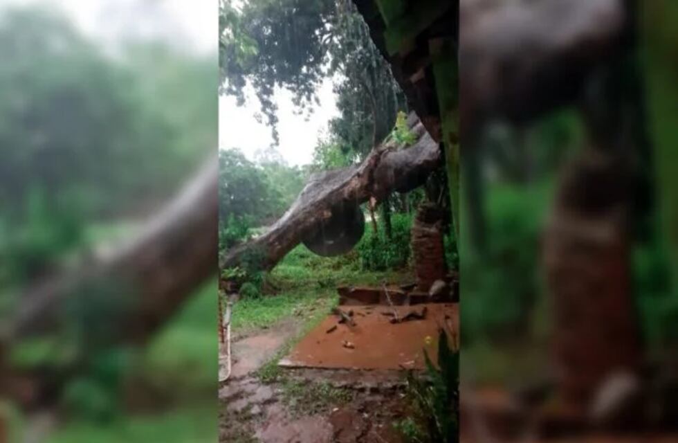 Por la feroz tormenta, un árbol cayó sobre una vivienda