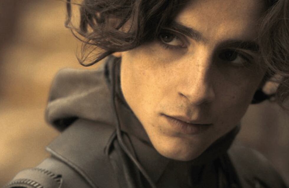 Timothée Chalamet regresará con otro biopic: ¿de qué se trata?