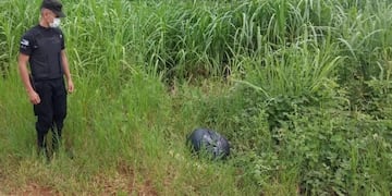 Secuestran marihuana en El Alcázar.