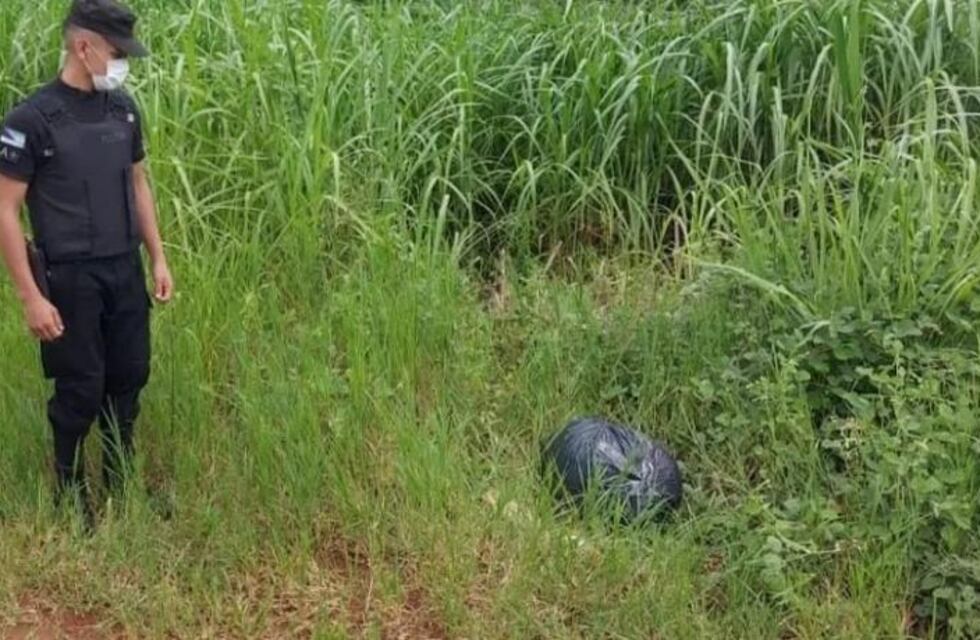 Secuestran marihuana en El Alcázar