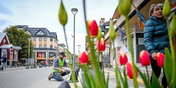 Ushuaia: iniciaron la construcción de veredas
