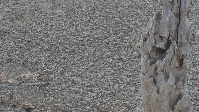 Conociendo ansneuza - Isla La Orihuela